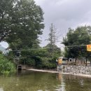 유명산산장 | 여름철 어비계곡 후기 – 가평의 숨은 힐링 스폿 파스쿠찌 유명산점 가평 당일치기