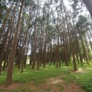 법기수원지 이미지