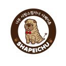 도그아일랜드 이미지