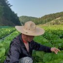 김덕수농장 네이버블로그