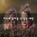 방글미소 네이버블로그