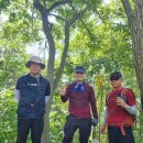 남면 행정복지센터 이미지