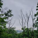 서울 정릉 숲길을 걸어볼까요 1 이미지