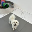 오늘의개스트 이미지