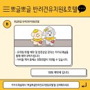 뽀글뽀글 반려견 유치원&호텔 이미지