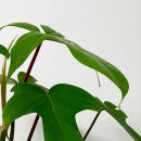 증산-018 네이버블로그
