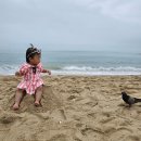 천사몬테소리어린이집 | 승해 483일 블랙이글스 구경해요.