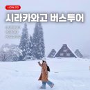 장수양봉원 | 나고야 근교 당일치기 ‘시라카와고 버스투어’ 내돈내산 후기