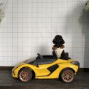 DOGRANG | 송도애견카페 : 산책하러 가기 좋은 잔디 테라스 카페 <도그랑차차>