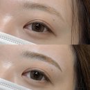눈코입브로우