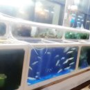 해수바다이야기 이미지