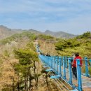 지정로 | 원주 소금산 출렁다리 케이블카 코스 후기&amp;아이와 함께 다녀온 힐링 여행