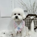 디어뚜뚜 이미지