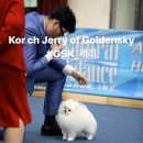 쥬쥬퍼피 이미지