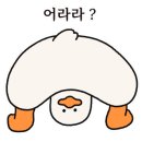 초롱블링