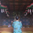 두손모아 반딧불이 이미지