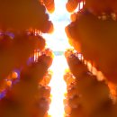 지리산곰실곶감농원 이미지