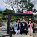 마장 색소폰 이미지