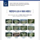 송산모아미래도 경로당 네이버블로그