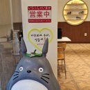 쿠마1418 이미지