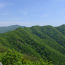 성수산목장 이미지