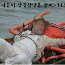 명량돼지 이미지