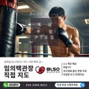 BLSO 복싱 아카데미 네이버블로그