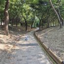 지행역사거리(다이소 앞) | 동두천 덕정 덕계 양주 의정부 소요산 연천 동두천 럭셔리 원룸텔, 한달살기 지행역 고시원 찐 후기입니다.