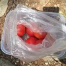 신곡초등학교 | 봄 하남 검단산 주말 산행 (신곡초등학교 ~ 검단산 ~ 유길준 묘 ~ 애니메이션 고등학교)