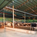 문성농장 이미지