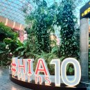 도하메드 | [카타르/도하] 스탑오버 공항 후기 (+면세점 초콜릿 추천, 대추야자 설명) : 도하 하마드 국제공항