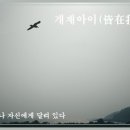 짧은훈화글-개재아이(皆在我耳) 이미지