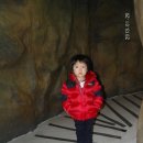 유진랜드 이미지