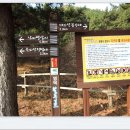 성내리 408 목은이색등산로(기독보육원내) | <해파랑길22코스(축산항▶괴시리전통마을)&amp; 목은이색등산로 걷기>길동무프로그램 후기