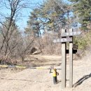 무릉도원면사무소 이미지