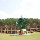 청양고추문화마을 이미지