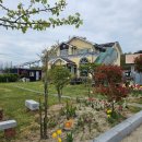 지단장식 | 경주 브런치 카페 새미담 후기｜조용한 힐링 브런치 카페새미담 추천