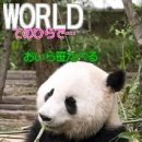 퀘스트박스 이미지