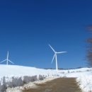 춘삼월목장 이미지