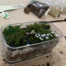 힐링원예 가드닝 이미지