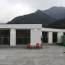 스테이포레스트 이미지