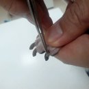 닥터아이펫 동물병원 이미지