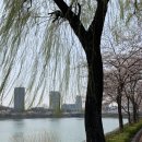 (주)청년쉐프 이미지