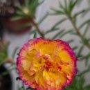 오늘이쁘다 이미지