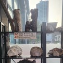 초애삼계탕 이미지