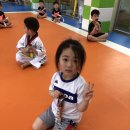 용인대 강 태권도 이미지