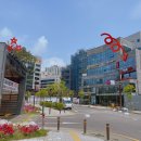 송산 파리바게트 앞 | 토요일 점심 안산 송산으로 춘천쌍둥이닭갈비 맛집데이트