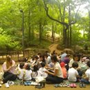 청담숲유치원 이미지