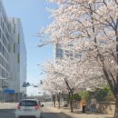 김구원선생기력두부 | [김포 고촌 ] 김포 고촌 두부맛집 김구원선생두부집 들깨순두부 청국장 솔직후기