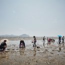 선감어촌체험관광마을 네이버블로그